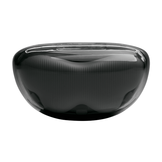 JBL Tune Flex 2 Ghost Edition - Ghost Black - True Wireless Noise Cancelling Earbuds - Top